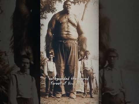 Ancient Maori Giants of New Zealand