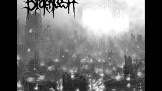 Broken Flesh - I Bleed