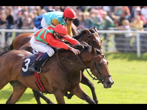 Cologne: 181st Oppenheim-Union Race (Group 2) - Winner: Boscaccio