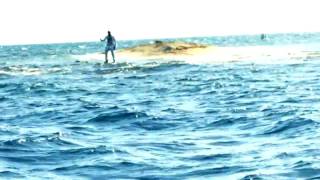 YouTube  Elephant Man   Party Up In Here