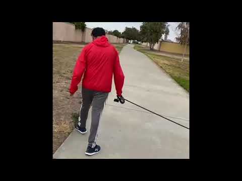 My Special Wonder Kid - walks a Dog  - RESPONSIBILITY & EMOTIONS