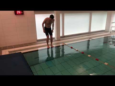 Goudvis; 1/9 Duik en door de hoepel zwemmen