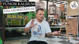 Download lagu FUNCTIONS/BENEFITS OF CALCIUM IN BREEDING MURAI BATU BIRDS mp3