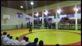 preview picture of video 'Judo Show Kiashahr نمایش جودو کیاشهر'