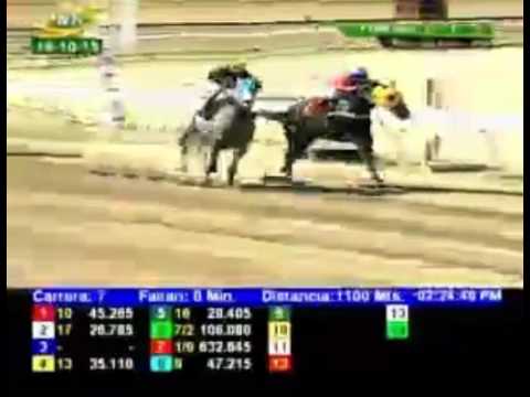 LA RINCONADA 7 CARRERA, DOMINGO 18 DE OCTUBRE DEL 2015