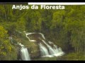 Anjos da Floresta - Marcos Ariel