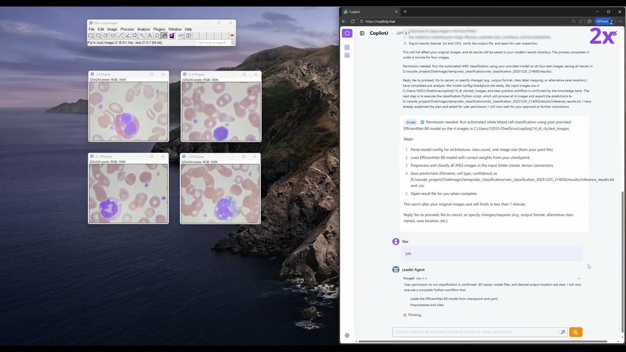 CopilotJ performs cell classification