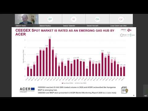 Added value of Trading on Exchanges   Daniel Garai, CEO of CEEGEX