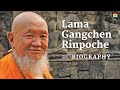 Lama Gangchen Tulku Rinpoche - Biography