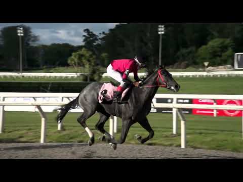 220206 c06 - RESIDERADO - HIPODROMO MAROÑAS
