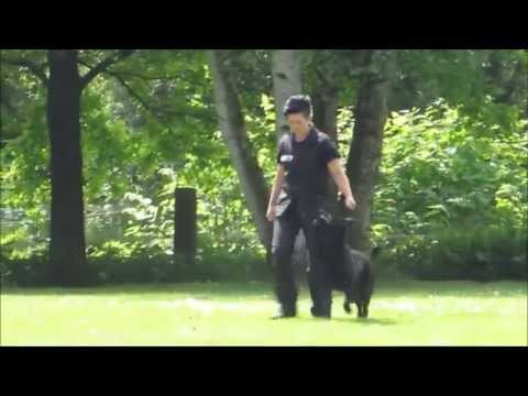 Bazooka von Pike´s Spirit - BH