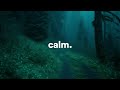 It S Okay Calm Down