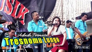 Download lagu Tresnomu Lungo - Adinda Permata _ CIPTA MUSIK (ora abang ora goyang) mp3