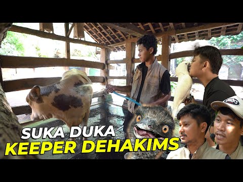 BONGKAR RAHASIA KEEPER DEHAKIMS SELAMA INI..!!