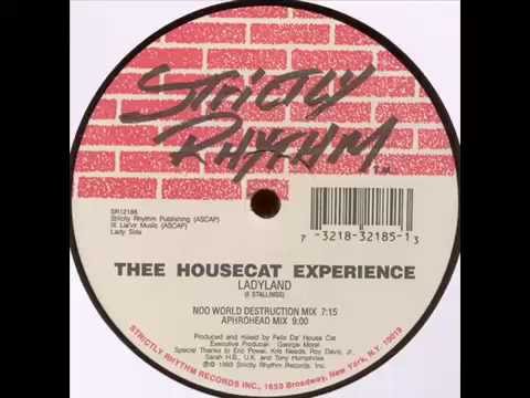 Thee Housecat Experience - Ladyland (Aphrohead Mix),  Strictly Rhythm 1993