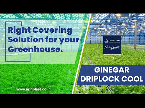 Ginegar Drip Lock Cool Greenhouse Covering Film