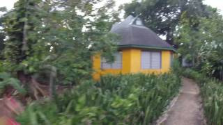 Banana's Garden walk through