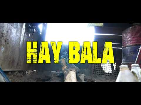 Ramo Roma ❌ 99 - Hay Bala (video oficial)