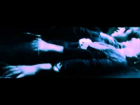 Dazzle Dreams -  Indigo