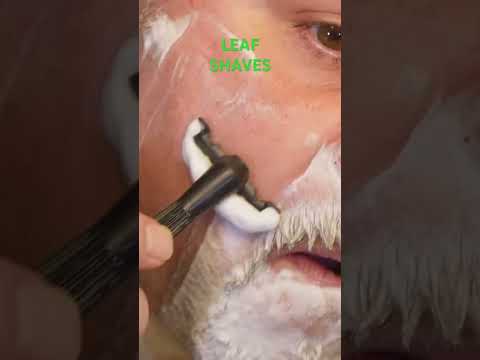 Is Henson Shaving Better Than Leaf Twig