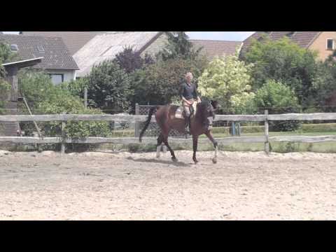 Ehrentusch x Weinzauber I