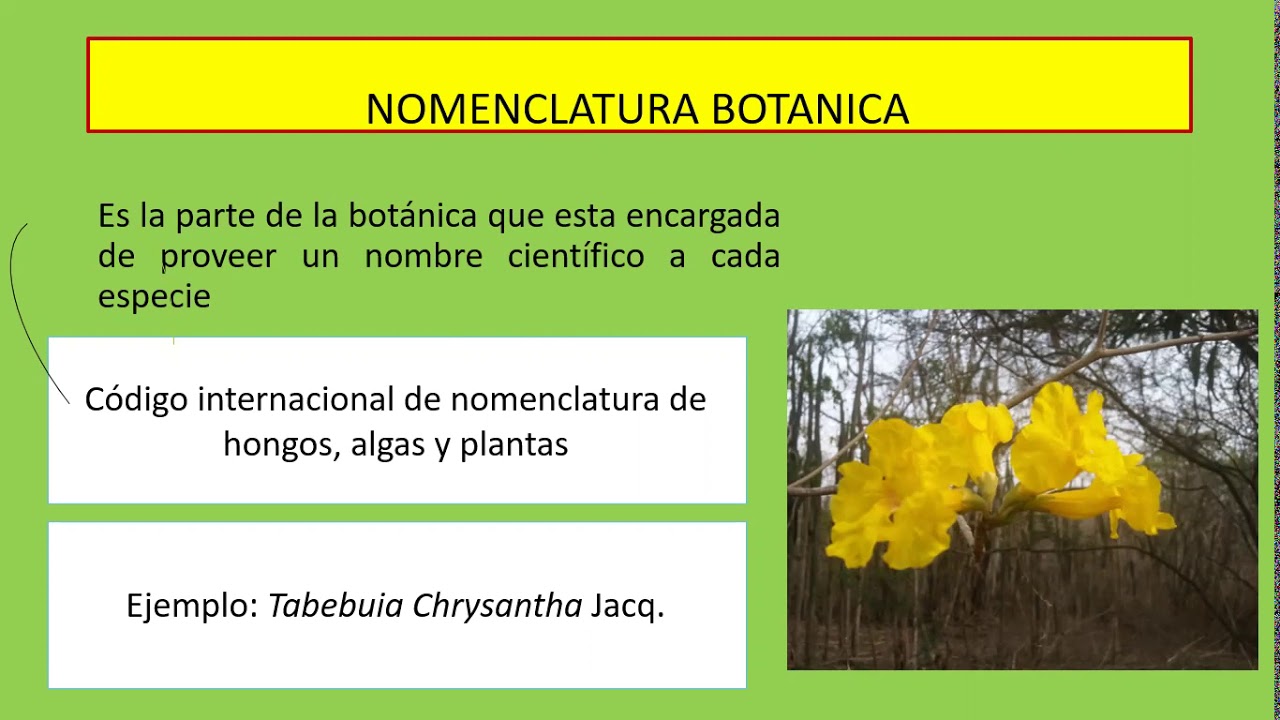 Nomenclatura Botánica