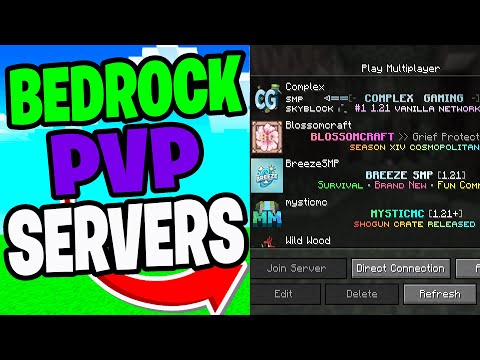 FryBry and MinecraftServerList