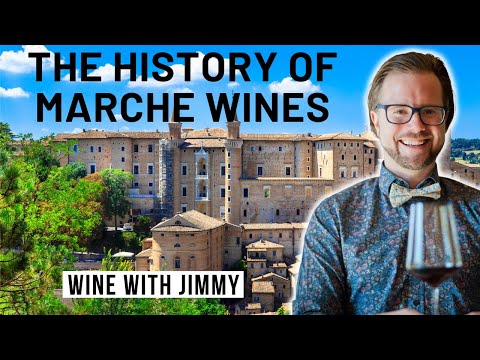 WSET Level 4 Diploma D3 Marche Part 1 - Introduction, History and Wine Business