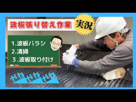 波板（ポリカ vs 塩ビ）を徹底比較｜耐久年数・価格・素材の違いを分かりやすく解説｜やねやねやね