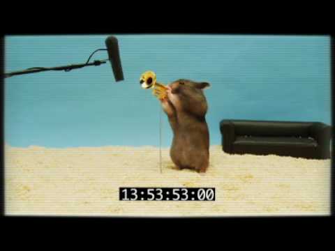 Louis' Clever Hamster Audition