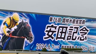 【メモリアルスタンド前芝生】第76回 安田記念