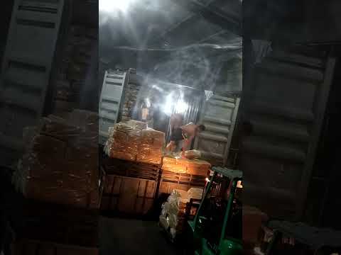 Phú Giáo OR043-1 TEMU0189501