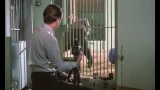 A Zed And Two Noughts - Opening titles HD