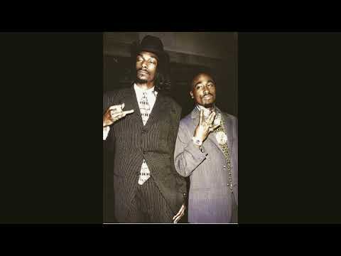 Demonios de Gala - Hammer x Kingston