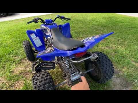 Yamaha raptor 350 (review)