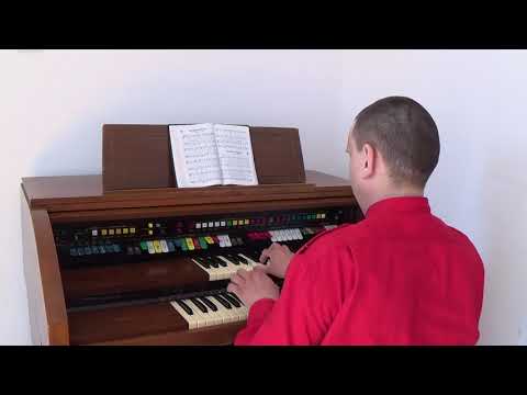 Ó Jesus, Te Suplico - Organista Bujor Florin Lucian tocando o Órgão Lowrey D-325
