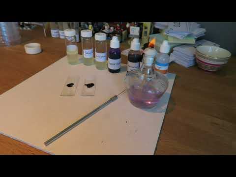 How to gram stain bacterial slides