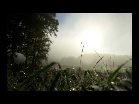 C-Systems and Jo Micali feat. Hanna Finsen - "Love Is Strong"