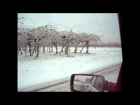 PRIMA NEVICATA A BORGO D'ALE DEL 2012.