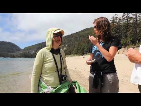 Beach Life on Haida Gwaii