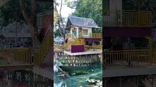 旅は追い風 ピアノバージョン #travel #アジア旅行 #旅行 #laos #ヴァンヴィエン