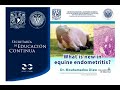 What Is New In Equine Endometritis