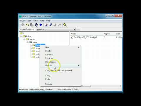 irods windows client