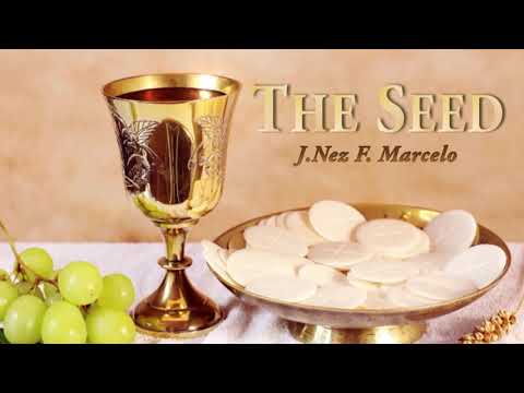 St Venantius Choir - The Seed - J Nez F Marcelo