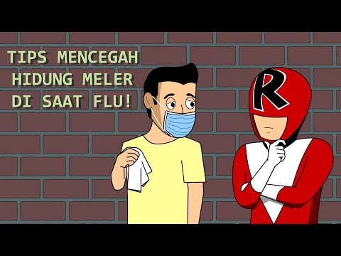 solusi-mengatasi-hidung-meler-dikala-flu-melanda