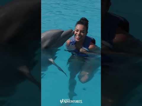 Thumbnail for Carnival Adventures – Cabo San Lucas #shorts #Carnivalcruise