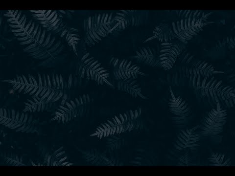 Shwe Htoo | S Logic - Do Or Die | Lyric Video |