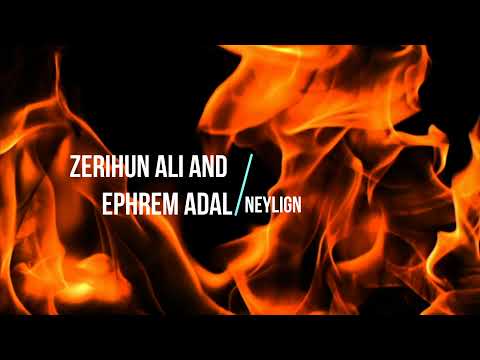 Track 01  Zerihun Ali and Ephrem Adal  - Neylign