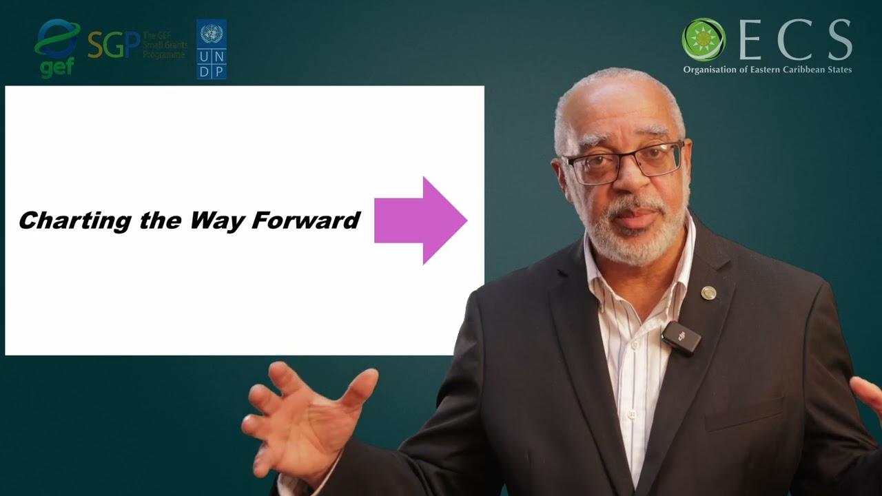 Tipping points for St. Lucia and the OECS in turbulent environments
