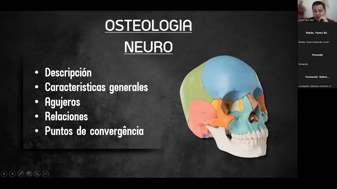 AULA 1 - INTRODUCCIÓN A NEUROANATOMIA